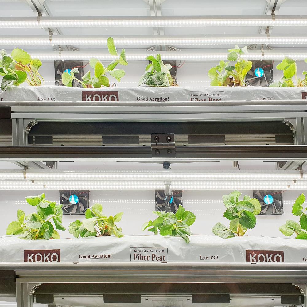 IOT Smart Farm Control System