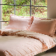 detail image3 Dr.Friend Premium Bedding Set (Pillow, Duvet, Pad)